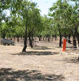 Foto annuncio 9