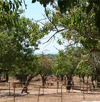 Foto annuncio 10