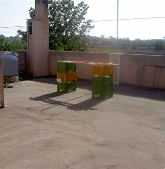 Foto annuncio 10