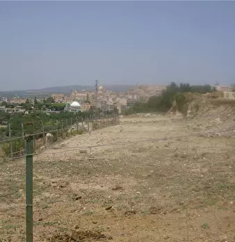 Foto annuncio 6