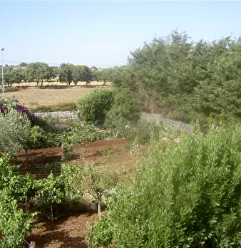 Foto annuncio 9