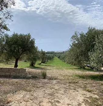 Foto annuncio 5