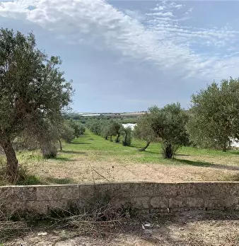 Foto annuncio 7