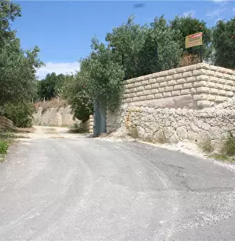 Foto annuncio 7