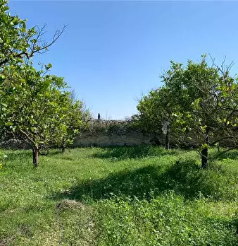 Foto annuncio 5