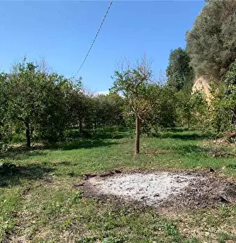 Foto annuncio 8