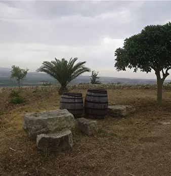 Foto annuncio 13