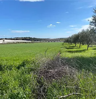 Foto annuncio 13