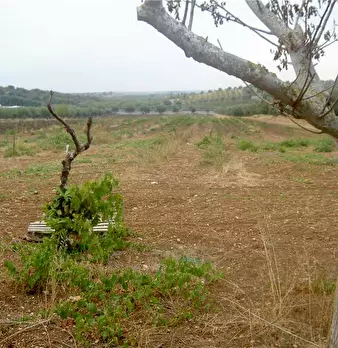 Foto annuncio 4