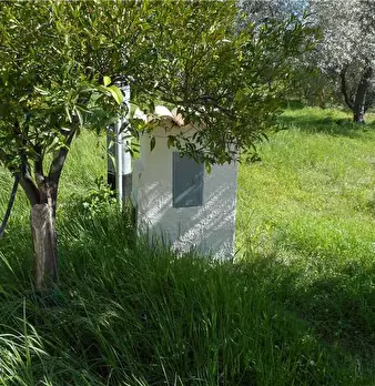 Foto annuncio 3
