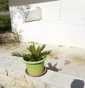 Foto annuncio 5