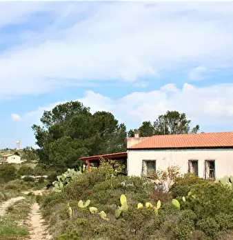 Foto annuncio 2