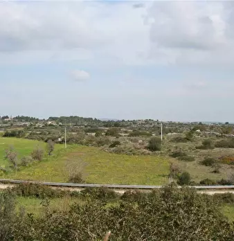 Foto annuncio 6