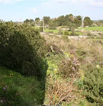 Foto annuncio 7