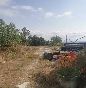 Foto annuncio 5
