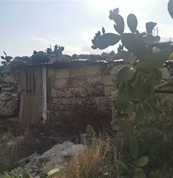 Foto annuncio 6
