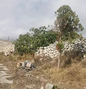 Foto annuncio 9