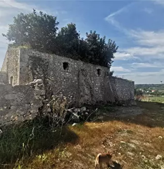 Foto annuncio 4