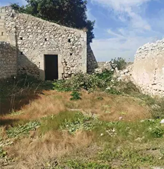 Foto annuncio 5