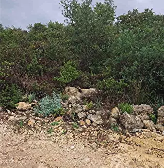 Foto annuncio 11