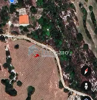 Foto annuncio 12
