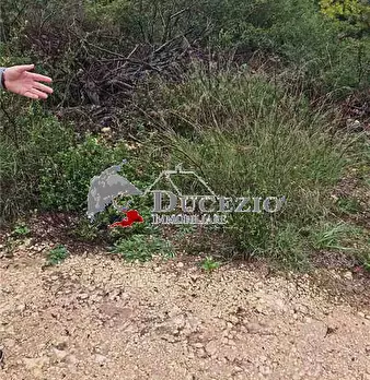 Foto annuncio 6