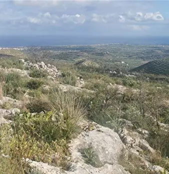Foto annuncio 10