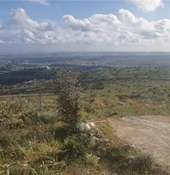 Foto annuncio 11