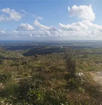 Foto annuncio 12