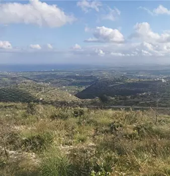 Foto annuncio 15