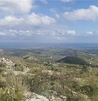 Foto annuncio 9