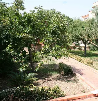 Foto annuncio 9