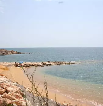 Foto annuncio 7