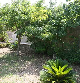 Foto annuncio 8