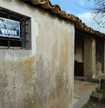 Foto annuncio 11