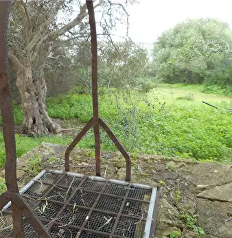 Foto annuncio 3