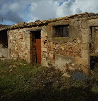 Foto annuncio 6
