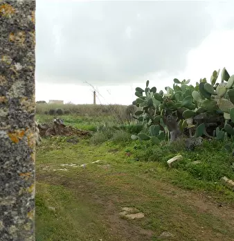 Foto annuncio 8