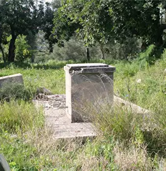 Foto annuncio 15