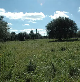 Foto annuncio 13