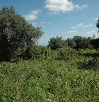 Foto annuncio 15