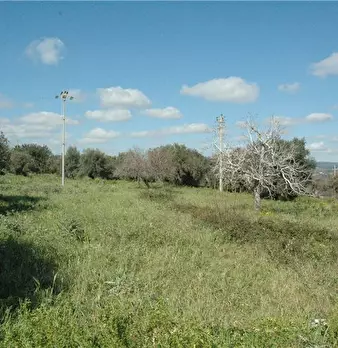 Foto annuncio 6