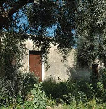 Foto annuncio 9