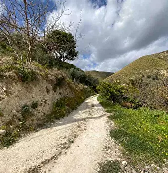 Foto annuncio 4