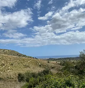 Foto annuncio 5