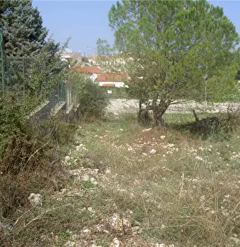 Foto annuncio 10