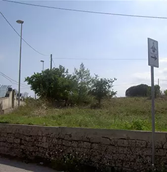 Foto annuncio 2