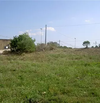 Foto annuncio 4