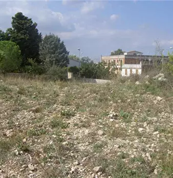 Foto annuncio 6