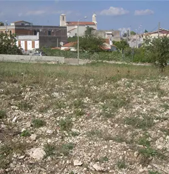 Foto annuncio 7